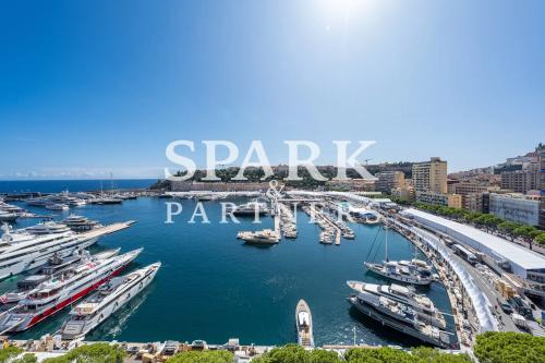 Monaco - Port - Spacieux 3 pièces - Vue exceptionnelle sur le circuit F1